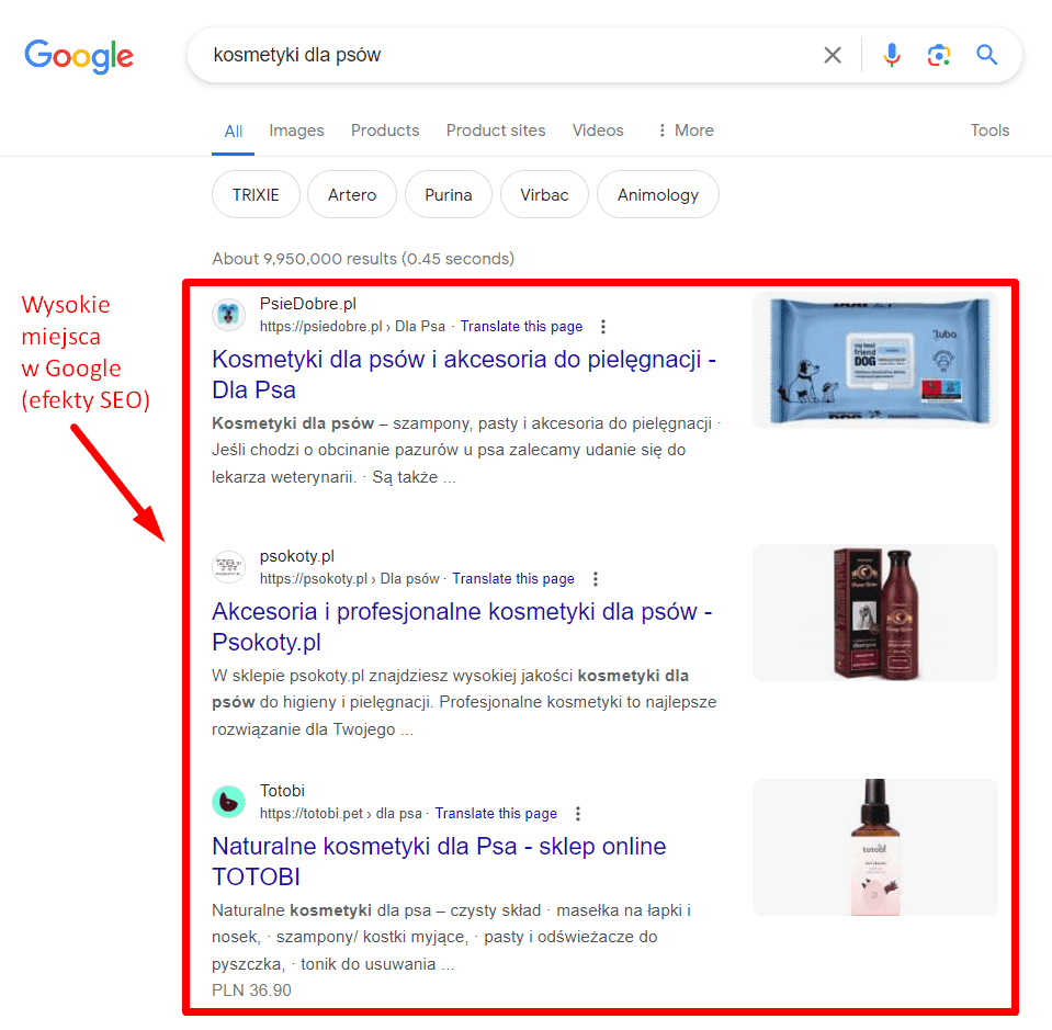 Efekty SEO. Źródło: www.google.com